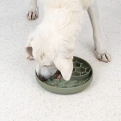 TIAKI Honeycomb Silicone Slow Feeder Approx. 19 X 3.5cm (Diameter X H) -Zoo Plus 452296 dog fg 5908 5