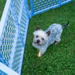 TIAKI 6-Panel Plastic Playpen 150 X 170 X 66 Cm (L X W X H) -Zoo Plus 452598 tiaki playpen dog fg 9322 0