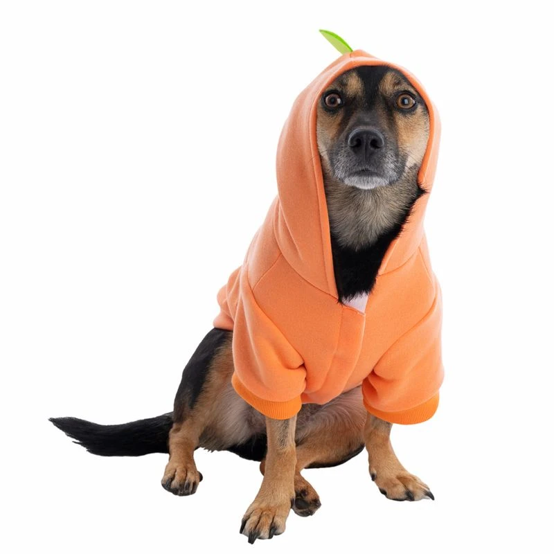 TIAKI Pumpkin Hoodie Size: L 6 TIAKI Pumpkin Hoodie Size: L - Image 6