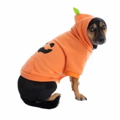 TIAKI Pumpkin Hoodie Size: S -Zoo Plus 461226 dog 0190 8 1