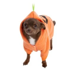 TIAKI Pumpkin Hoodie Size: L 17 TIAKI Pumpkin Hoodie Size: L -Zoo Plus 462596 dog 0202 8