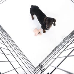 TIAKI High Metal Puppy Pen 8 Panels Each 61 X 122cm (W X H) -Zoo Plus 468903 foldable puppy pen 122cm fg 6139 1 1