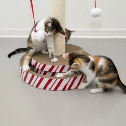 TIAKI 4-in-1 Multi-Toy Scratching Post For Cats 1 Toy -Zoo Plus 469096 4in1 multitoy cat scratcher fg 8449 9