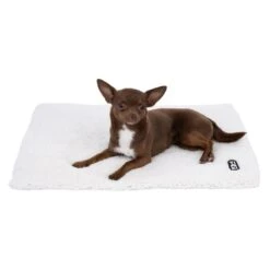 TIAKI Non-Electric Heating Mat Size M: 60 X 45 Cm (L X W) -Zoo Plus 469208 dog fg 0242 2 2