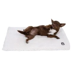 TIAKI Non-Electric Heating Mat Size M: 60 X 45 Cm (L X W) -Zoo Plus 469208 dog fg 0246 9 2
