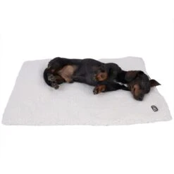TIAKI Non-Electric Heating Mat Size M: 60 X 45 Cm (L X W) -Zoo Plus 469796 dog fg 0256 1 2
