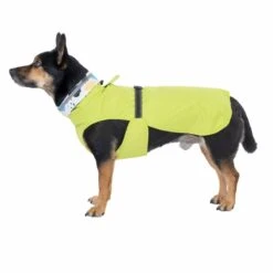 TIAKI Clouds Reversible Dog Raincoat Approx. 30cm (Back Length) 24 TIAKI Clouds Reversible Dog Raincoat Approx. 30cm (Back Length) -Zoo Plus 470803 reversible clouds 40cm dog fg 4085 1