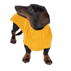 TIAKI Gold Dog Jumper Approx. 35cm (Back Length) -Zoo Plus 471096 gold 40cm dog fg 3554 3 3