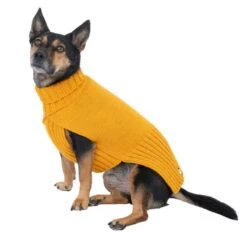 TIAKI Gold Dog Jumper Approx. 35cm (Back Length) -Zoo Plus 471196 gold 45cm dog fg 4046 8 3