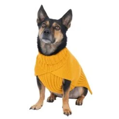 TIAKI Gold Dog Jumper Approx. 40cm (Back Length) -Zoo Plus 471196 gold 45cm dog fg 4052 9 2