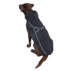 TIAKI Arkon Dog Coat With Harness - Black Approx. 60cm Back Length -Zoo Plus 471503 arkon 60cm dog fg 3825 3 3