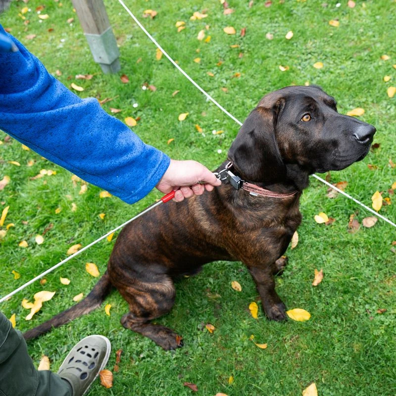 TIAKI Garden Lead 7m Length 9 TIAKI Garden Lead 7m Length - Image 9