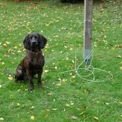 TIAKI Garden Lead 7m Length 14 TIAKI Garden Lead 7m Length -Zoo Plus 475444 tie out hofleine dog fg 0636 1