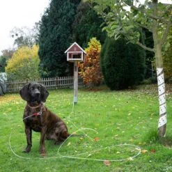 TIAKI Garden Lead 7m Length 22 TIAKI Garden Lead 7m Length -Zoo Plus 475444 tie out hofleine dog fg 0655 7