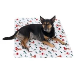 TIAKI Fun Winter Blanket For Dogs Dog Blanket: 100 X 70cm (L X W) -Zoo Plus 478399 hundedecke funny winter dogs fg 2294 1