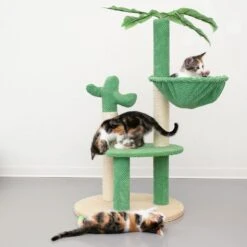 TIAKI Nature Green Desert Scratching Post Green/Brown -Zoo Plus 480197 tiaki nature green desert fg 8699 0