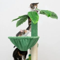 TIAKI Nature Green Desert Scratching Post Green/Brown -Zoo Plus 480197 tiaki nature green desert fg 8714 1