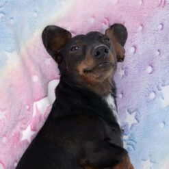 TIAKI Glowing Unicorns Cosy Blanket 100 X 70 Cm (L X W) -Zoo Plus 480210 decke unicorns fg 6161 2