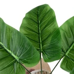 TIAKI Nature Palma Cat Scratching Post 1 Scratching Post 22 TIAKI Nature Palma Cat Scratching Post 1 Scratching Post -Zoo Plus 480296 tiaki nature palma fg 7932 0