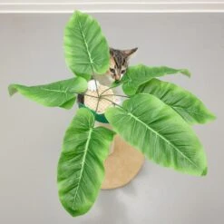 TIAKI Nature Palma Cat Scratching Post 1 Scratching Post 20 TIAKI Nature Palma Cat Scratching Post 1 Scratching Post -Zoo Plus 480296 tiaki nature palma fg 8742 6