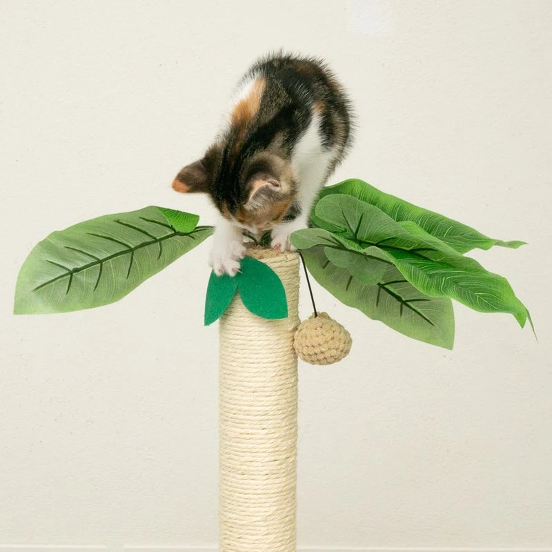 TIAKI Nature Palma Cat Scratching Post 1 Scratching Post 5 TIAKI Nature Palma Cat Scratching Post 1 Scratching Post - Image 5