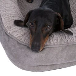 TIAKI Poolside Paws Fossil Dog Bed Size L: 75 X 60 X 14cm (L X W X H) 19 TIAKI Poolside Paws Fossil Dog Bed Size L: 75 X 60 X 14cm (L X W X H) -Zoo Plus 481720 poolside paws hundebett fossil fg 9049 1 1