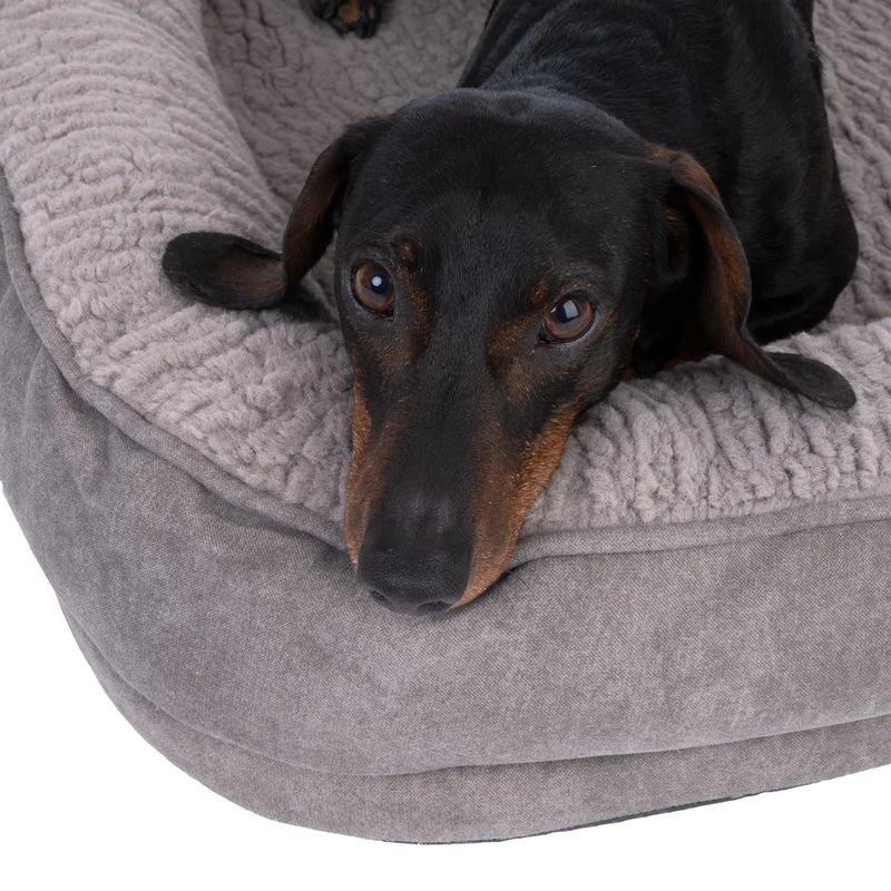 TIAKI Poolside Paws Fossil Dog Bed Size L: 75 X 60 X 14cm (L X W X H) 9 TIAKI Poolside Paws Fossil Dog Bed Size L: 75 X 60 X 14cm (L X W X H) - Image 9