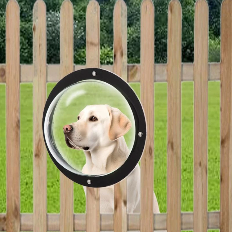 TIAKI "Gossip Dog" Fence Window 2 X Windows 2 TIAKI "Gossip Dog" Fence Window 2 X Windows - Image 2