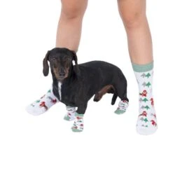 TIAKI Pet & Parent Winter Socks For Pets: One Size (2 Pairs) -Zoo Plus 485797 485798 tiaki pet parent winter socks fg 3696 1 1