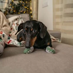 TIAKI Pet & Parent Winter Socks For Dog Pawrents: One Size (36 - 41 / 1 Pair) -Zoo Plus 485797 485798 zhongda pet hs 06 7 2