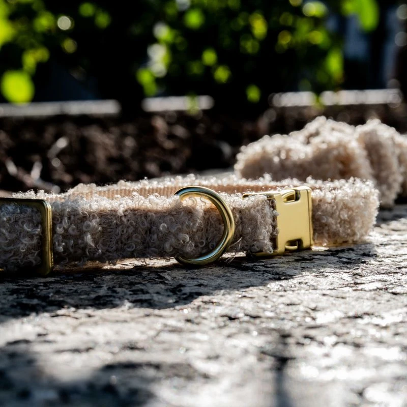 TIAKI Sherpa Collar, Lead & Scrunchie Large Size Collar: 42-66cm (Neck Circumference) - Image 12