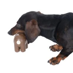 TIAKI Hippo Squeaky Chew Toy 13.5 X 6 X 8 Cm (L X W X H) -Zoo Plus 486112 coffee seeds hippo squeaky chew toy fg 3795 3