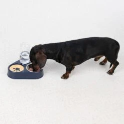 TIAKI Triple Feeder With Water Dispenser 2 X 200ml -Zoo Plus 486196 dog fg 5863 5