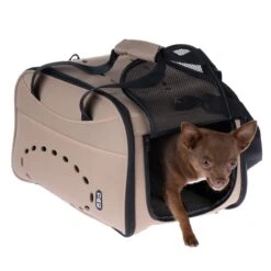 TIAKI Lightweight Carry Bag 44 X 28 X 28cm (L X W X H) -Zoo Plus 488134 tiaki lightweight pet carrier fg 2151 9