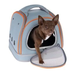 TIAKI Neon Pet Carrier 34 X 41 X 30cm  (L X W X H) -Zoo Plus 489296 tiaki pet carrier neon fg 2129 2