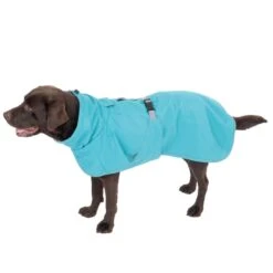 TIAKI Dog Raincoat - Teal Approx. 30cm (Back Length) -Zoo Plus 492112 teal 60cm dog fg 6 3