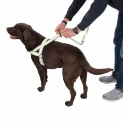 TIAKI No-pull Harness S: Approx. 55-65 Cm Chest Circumference -Zoo Plus 492130 tiaki no pull geschirr dog fg 8854 1