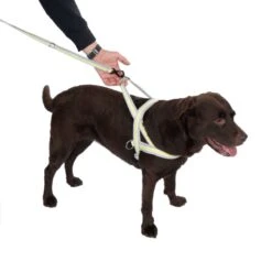 TIAKI No-pull Harness L: Approx. 75-95 Cm Chest Circumference -Zoo Plus 492130 tiaki no pull geschirr dog fg 8867 7 1