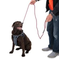 TIAKI Reflective Braided Leash Length: Approx. 180 Cm -Zoo Plus 492132 tiaki reflective braided leine dog fg 8939 8