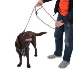 TIAKI Reflective Braided Leash Length: Approx. 180 Cm -Zoo Plus 492132 tiaki reflective braided leine dog fg 8942 3