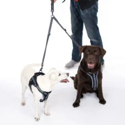 TIAKI Double Bungee Lead Extension Length: Approx. 40-70cm -Zoo Plus 492133 tiaki double bunjee leine extender dogs fg 8931 3