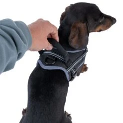 TIAKI Saddle Harness Small: Approx. 40 - 50cm (Neck Circumference) -Zoo Plus 492134 tiaki sattelgeschirr fg 8527 3 1