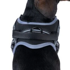 TIAKI Saddle Harness Medium: Approx. 48 - 65cm (Neck Circumference) -Zoo Plus 492134 tiaki sattelgeschirr fg 8533 6