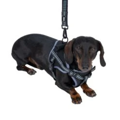 TIAKI Saddle Harness Small: Approx. 40 - 50cm (Neck Circumference) -Zoo Plus 492134 tiaki sattelgeschirr fg 8835 6 1