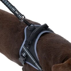 TIAKI Saddle Harness Small: Approx. 40 - 50cm (Neck Circumference) -Zoo Plus 492135 tiaki sattelgeschirr dog fg 8923 8 1