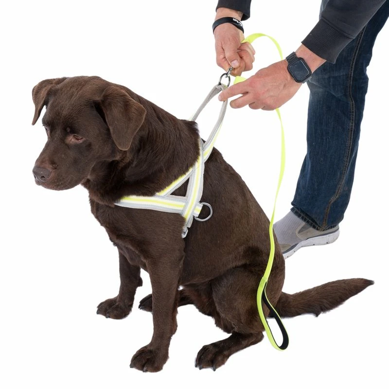 TIAKI Glow In The Dark Lead 120cm X 20mm (L X W) - Image 3