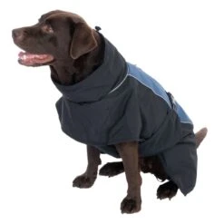 TIAKI Softshell Dog Coat - Steel Approx. 30cm (Back Length) -Zoo Plus 492796 steel 60cm dog fg 4 0 2