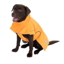 TIAKI Saffron Dog Raincoat Back Length: 50cm -Zoo Plus 492897 saffron 50cm dog fg 11 5