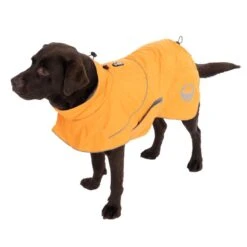 TIAKI Saffron Dog Raincoat Back Length: 40cm 18 TIAKI Saffron Dog Raincoat Back Length: 40cm -Zoo Plus 492897 saffron 50cm dog fg 9 1 2
