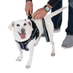 TIAKI Saddle Harness Small: Approx. 40 - 50cm (Neck Circumference) -Zoo Plus 493899 tiaki sattelgeschirr dog fg 8905 2 1